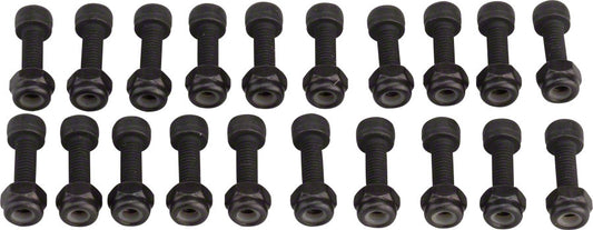 RaceFace Chester Pedal Replacement Pin Kit - 20 Pins